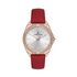 Ceas pentru dama, Daniel Klein Premium, DK.1.13485.1
