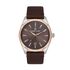 Ceas Daniel Klein Premium DK.1.13519.1