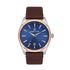 Ceas Daniel Klein Premium DK.1.13519.1