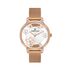Ceas Daniel Klein Premium DK.1.13456.3