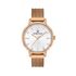 Ceas pentru dama, Daniel Klein Premium, DK.1.13504.5