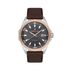 Ceas Daniel Klein Premium DK.1.13653.4