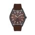 Ceas Daniel Klein Premium DK.1.13666.1