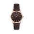 Ceas pentru dama, Daniel Klein Premium, DK.1.13595.1