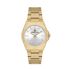 Ceas pentru dama, Daniel Klein Premium, DK.1.13611.3