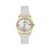 Ceas Daniel Klein Premium DK.1.13759.3
