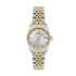 Ceas Daniel Klein Premium DK.1.13789.5