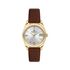 Ceas Daniel Klein Premium DK.1.13759.3