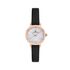 Ceas Daniel Klein Premium DK.1.13780.6